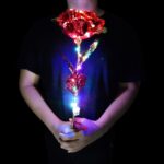 Big Jumbo Shiny Led Rose