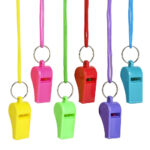 2" Neon Whistle Necklace