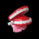 Chatter Teeth Toy - Image 2