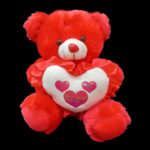 Valentine Teddy Bear with Lights - Image 2