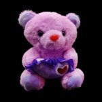 9"  Teddy Bear With Sound - Image 4