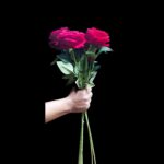 30 inch Single stem Rose Red - Image 2