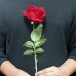 30 inch Single stem Rose Red