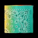 12 Piece bandana Pack - Image 2