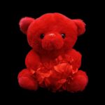 9"  Teddy Bear With Sound - Image 2