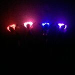 LED Light-Up Glowing Roses Assorted - Image 4