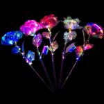 LED Light Up Rose Variety