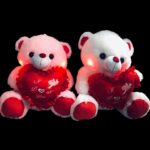 12 Inch Teddy Bear with With I Love You Noise - Image 2